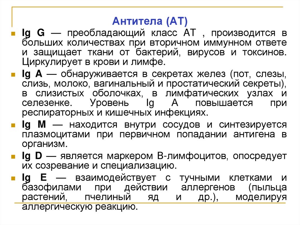 Антитела (AT)