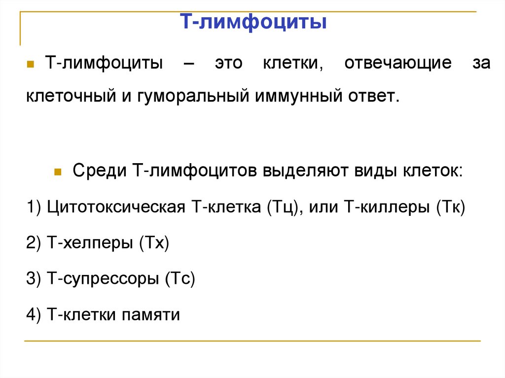 Т-лимфоциты