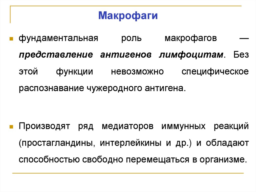 Макрофаги