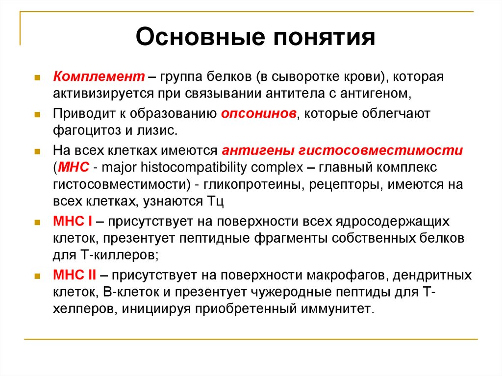 Основные понятия