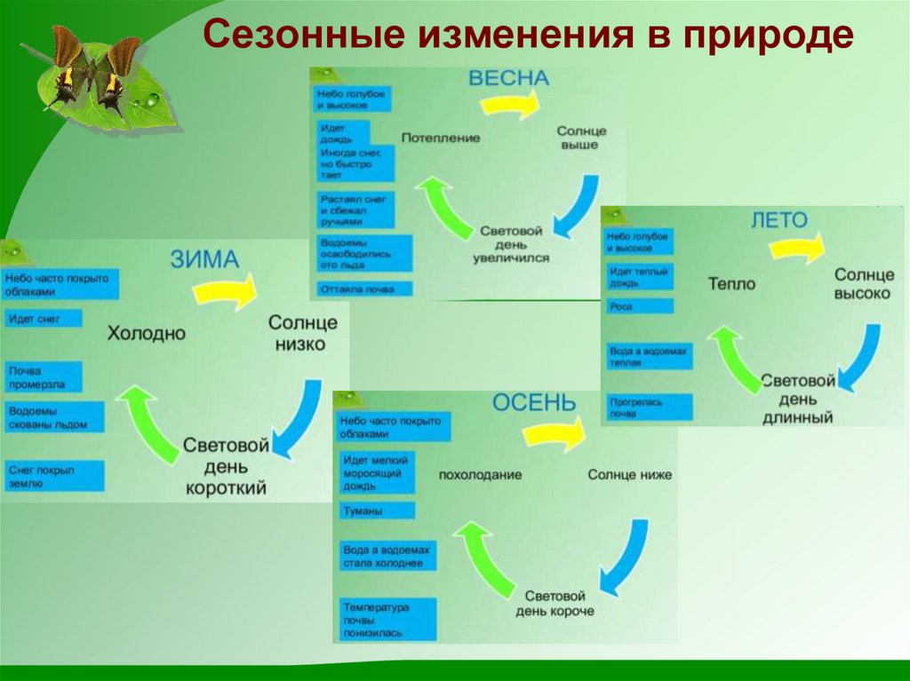 Сезонные изменения в жизни растительного сообщества. Сезонные изменения в жизни растительного сообщества