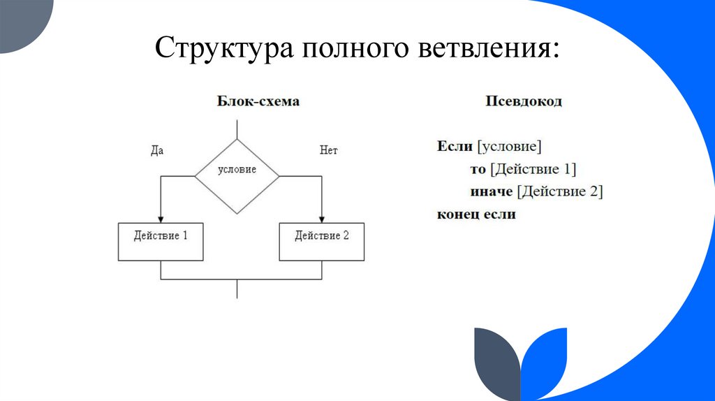 Структура полного ветвления: