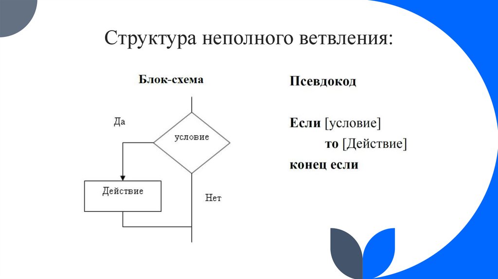 Структура неполного ветвления:
