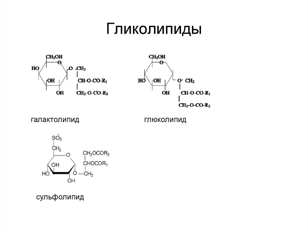 Гликолипиды