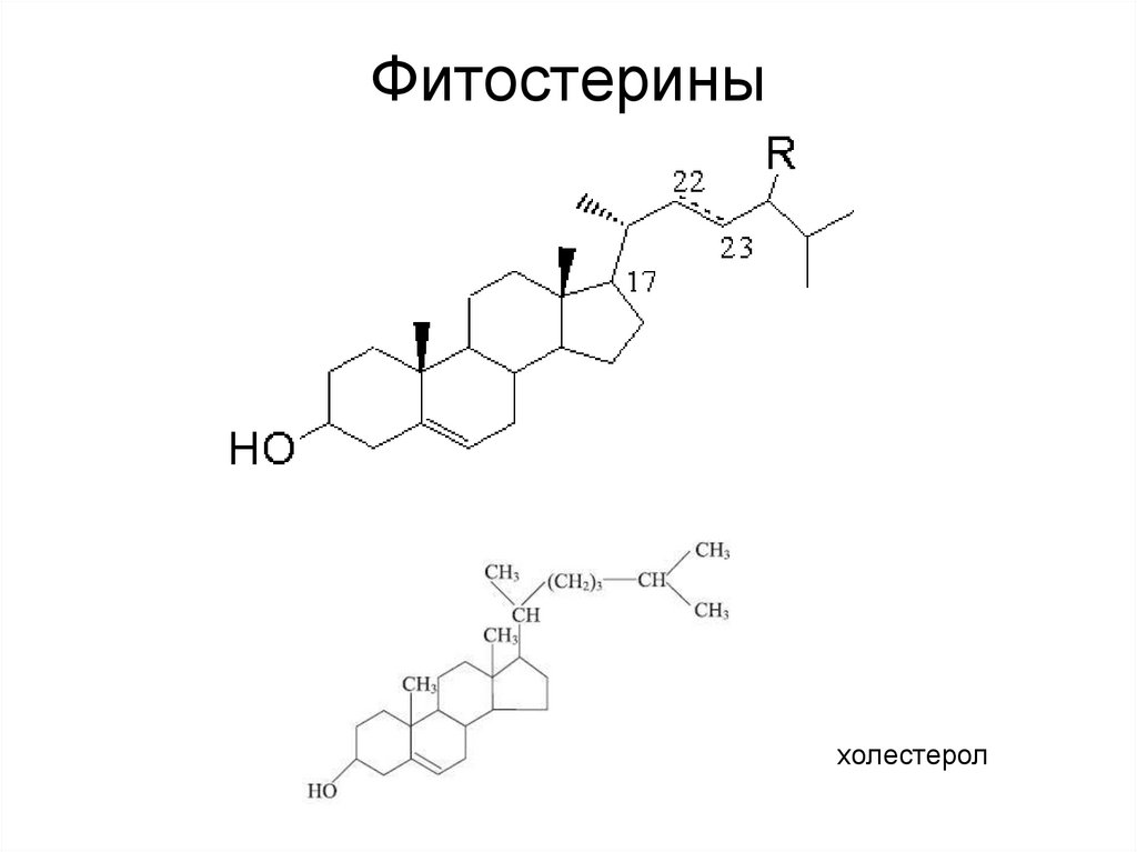 Фитостерины