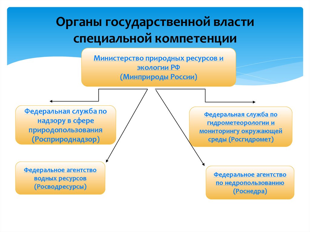 Органы государственной власти специальной компетенции
