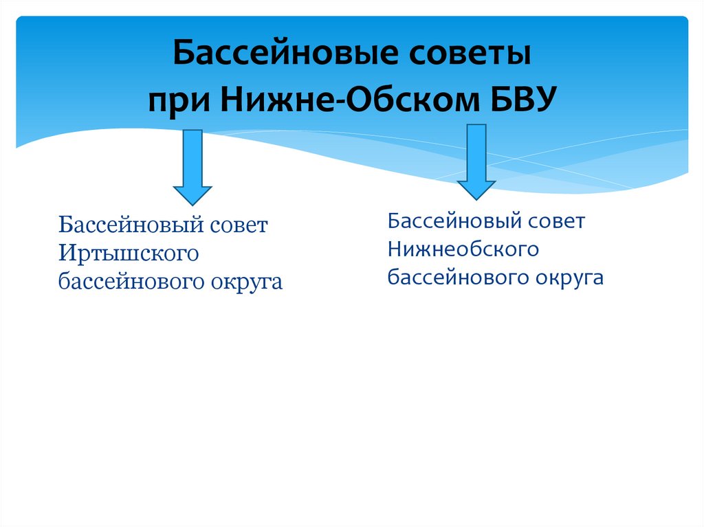 Бассейновые советы при Нижне-Обском БВУ
