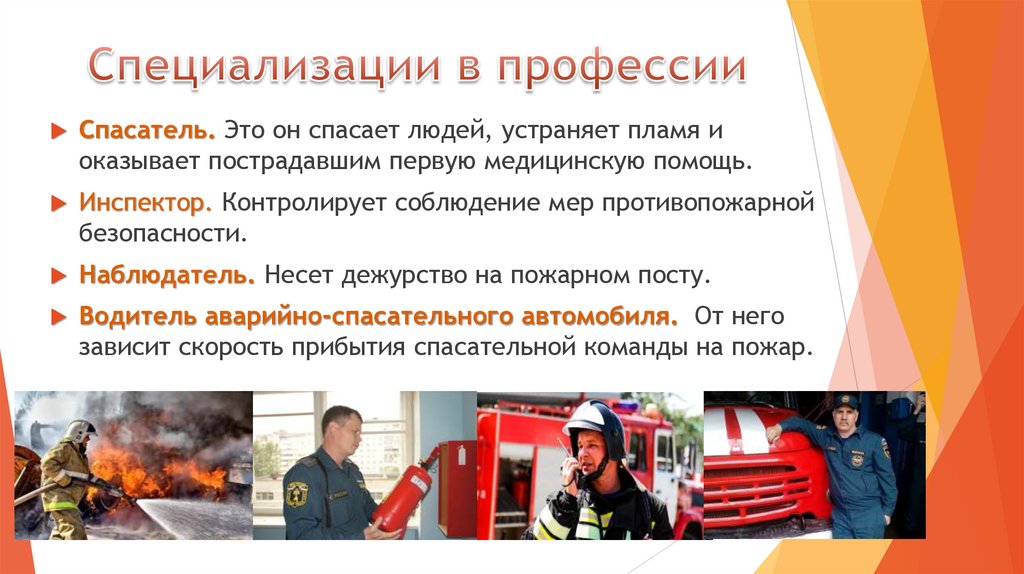 Специализации в профессии