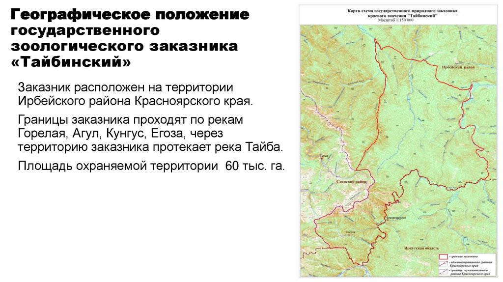 Географическое положение государственного зоологического заказника «Тайбинский»