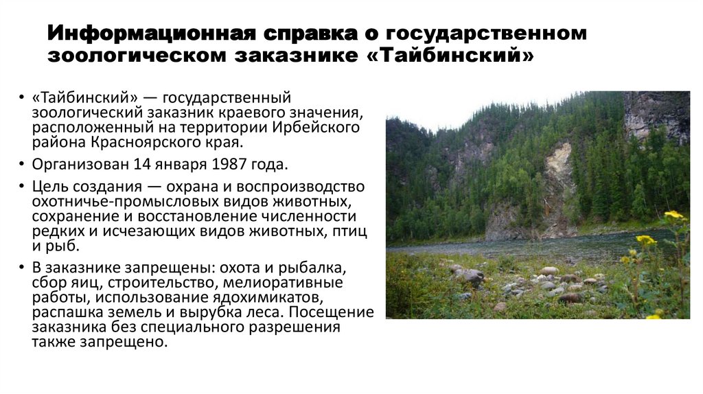 Информационная справка о государственном зоологическом заказнике «Тайбинский»
