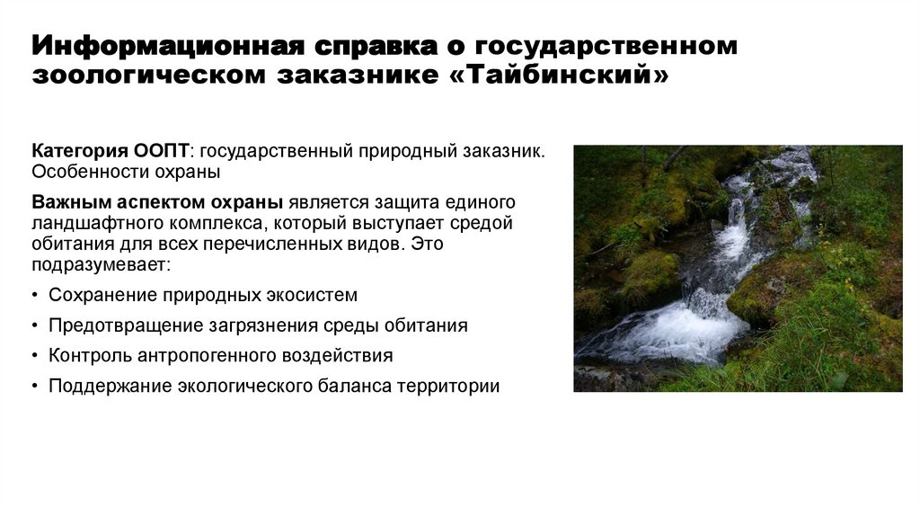 Информационная справка о государственном зоологическом заказнике «Тайбинский»