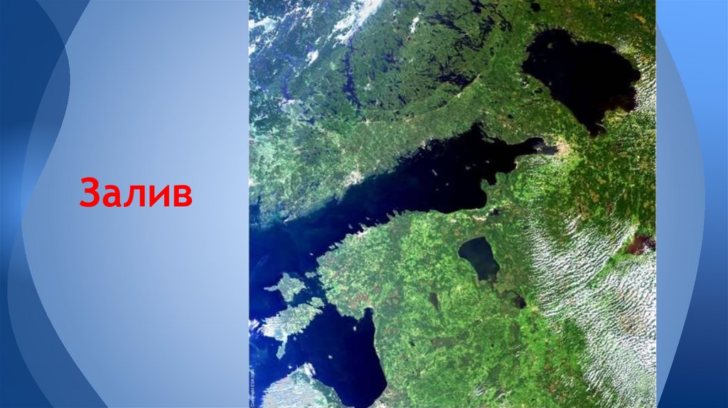 Залив