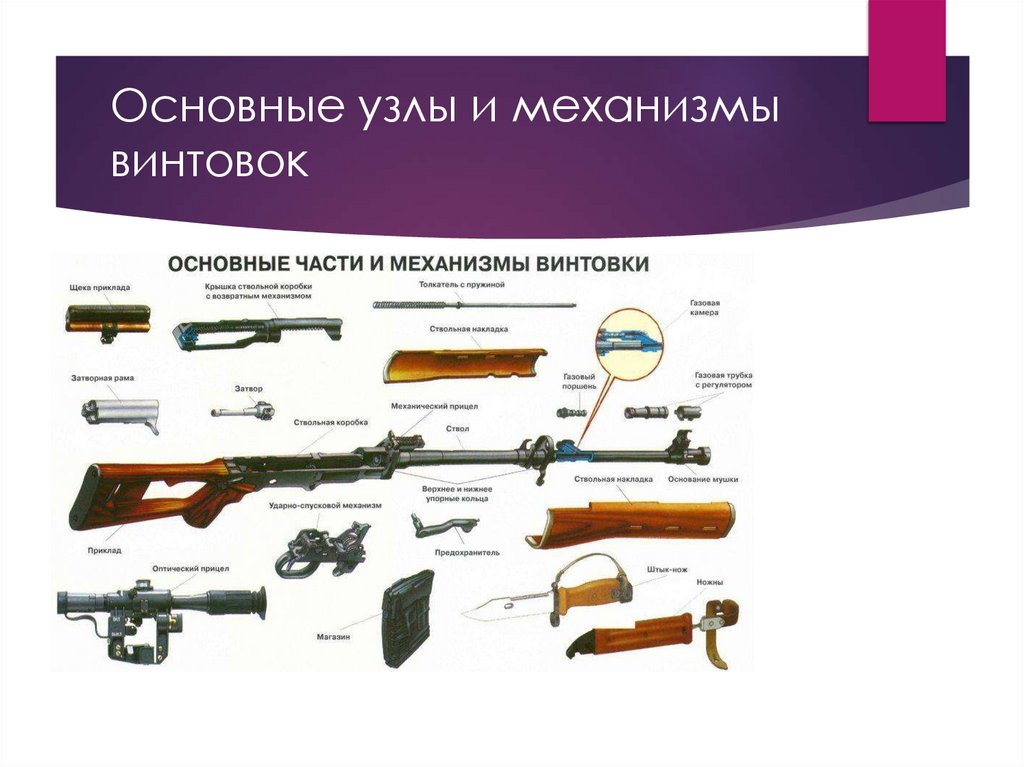 Основные узлы и механизмы винтовок