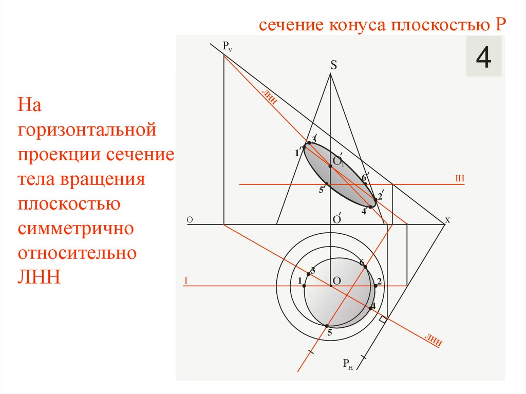 На горизонтальной проекции сечение тела вращения плоскостью симметрично относительно ЛНН