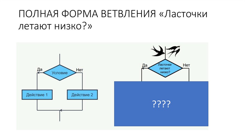 ПОЛНАЯ ФОРМА ВЕТВЛЕНИЯ «Ласточки летают низко?»