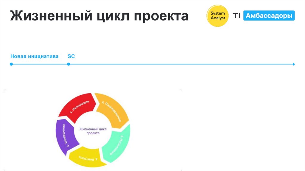 Жизненный цикл проекта