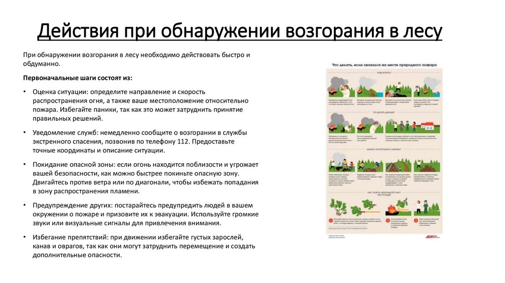 Действия при обнаружении возгорания в лесу