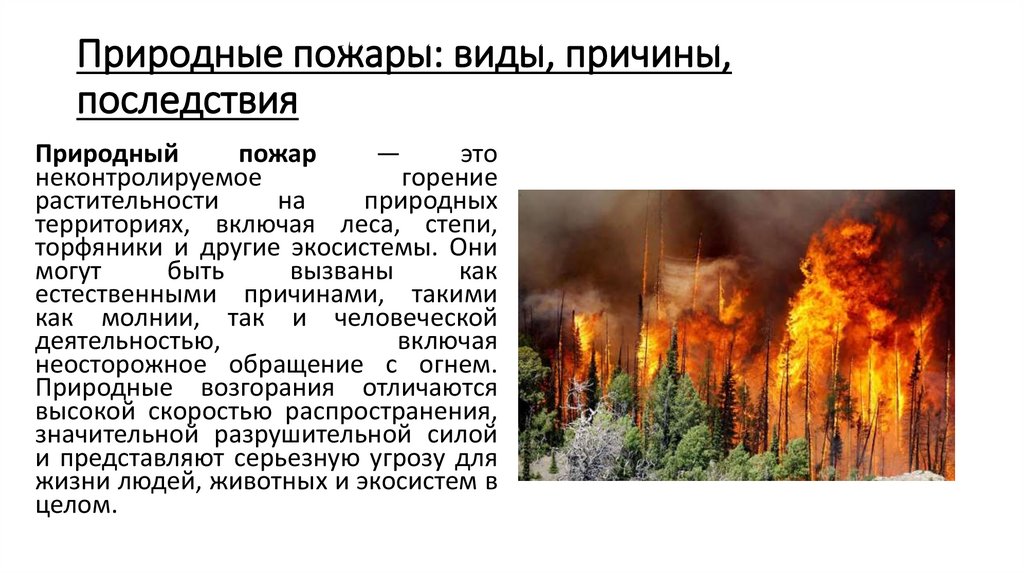 Природные пожары: виды, причины, последствия