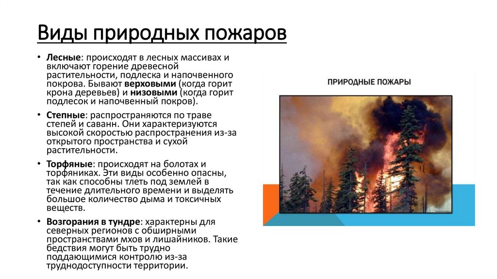 Виды природных пожаров