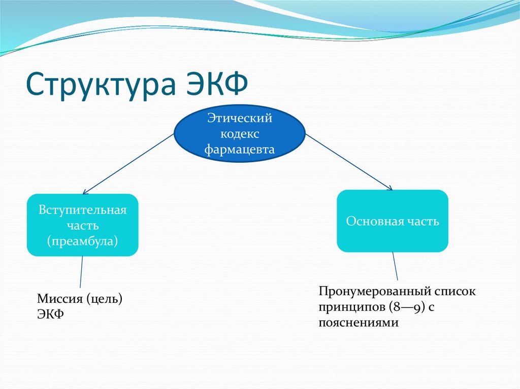 Структура ЭКФ