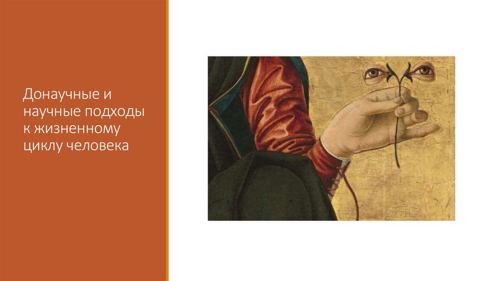 Донаучные и научные подходы к жизненному циклу человека