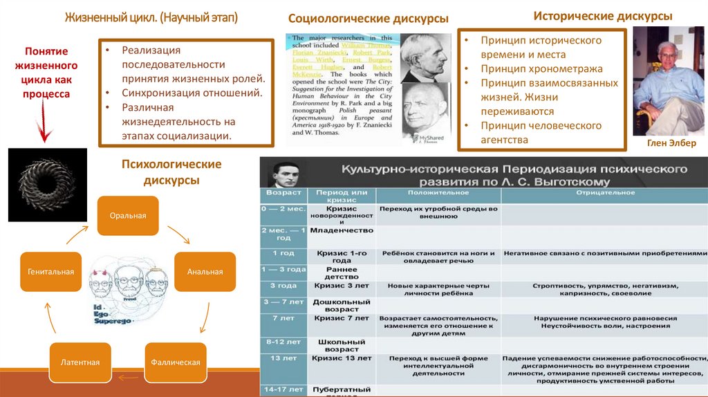Жизненный цикл. (Научный этап)