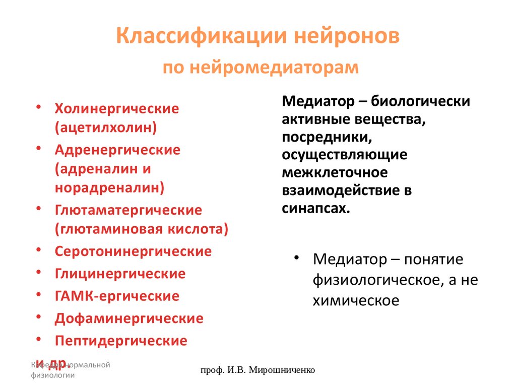 Классификации нейронов по нейромедиаторам