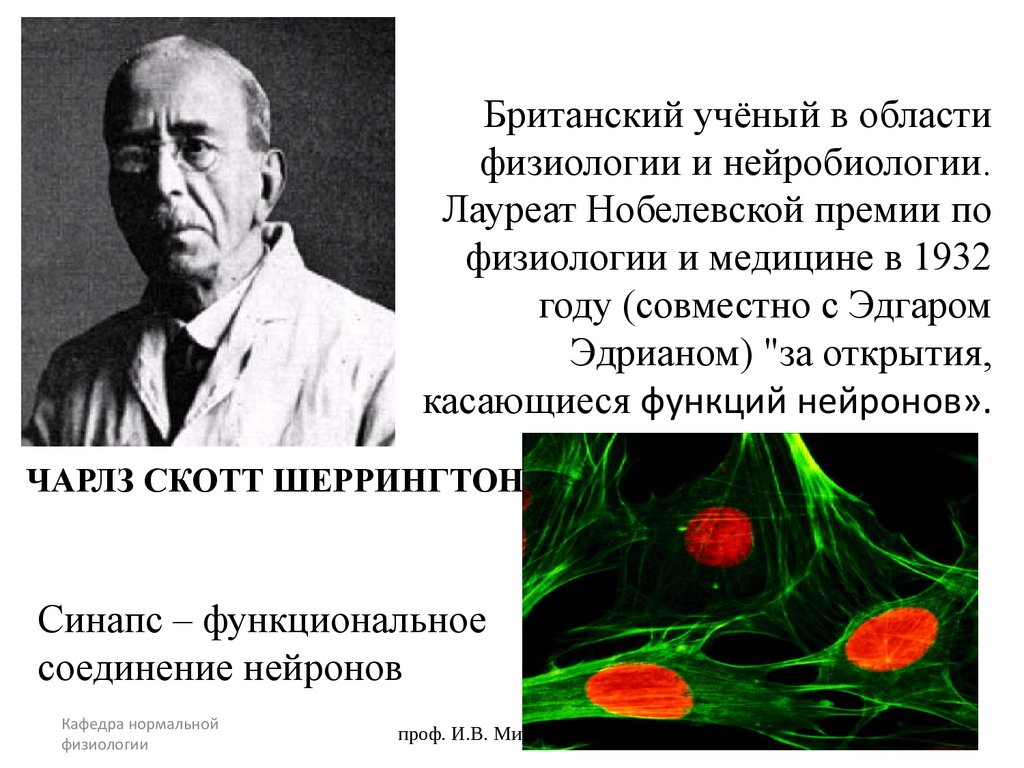 Британский учёный в области физиологии и нейробиологии. Лауреат Нобелевской премии по физиологии и медицине в 1932 году