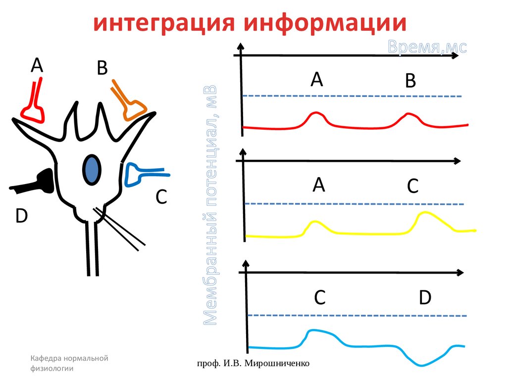 интеграция информации