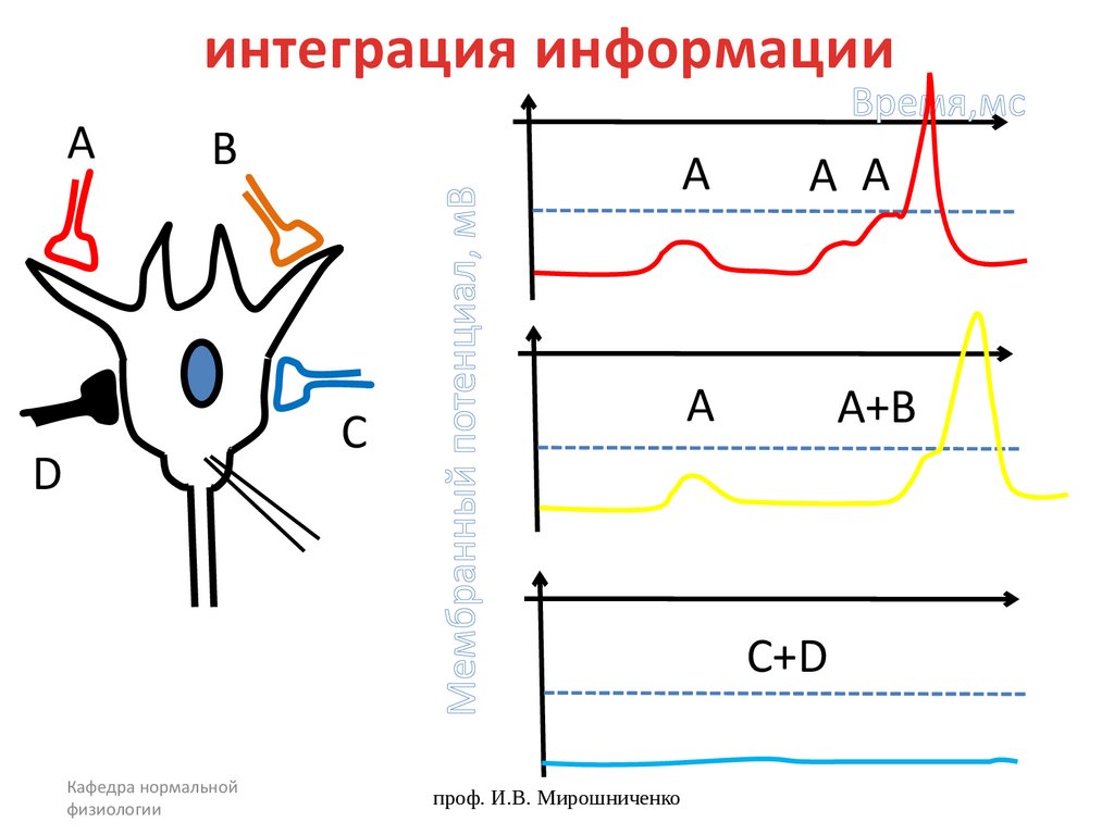 интеграция информации