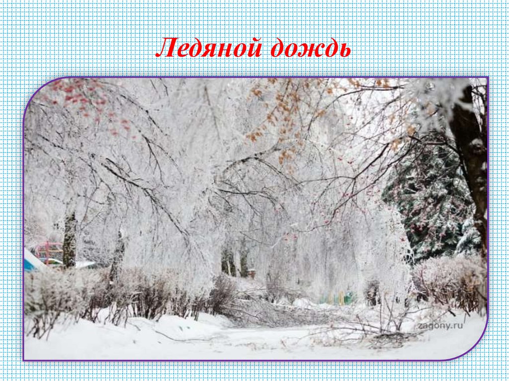 Ледяной дождь