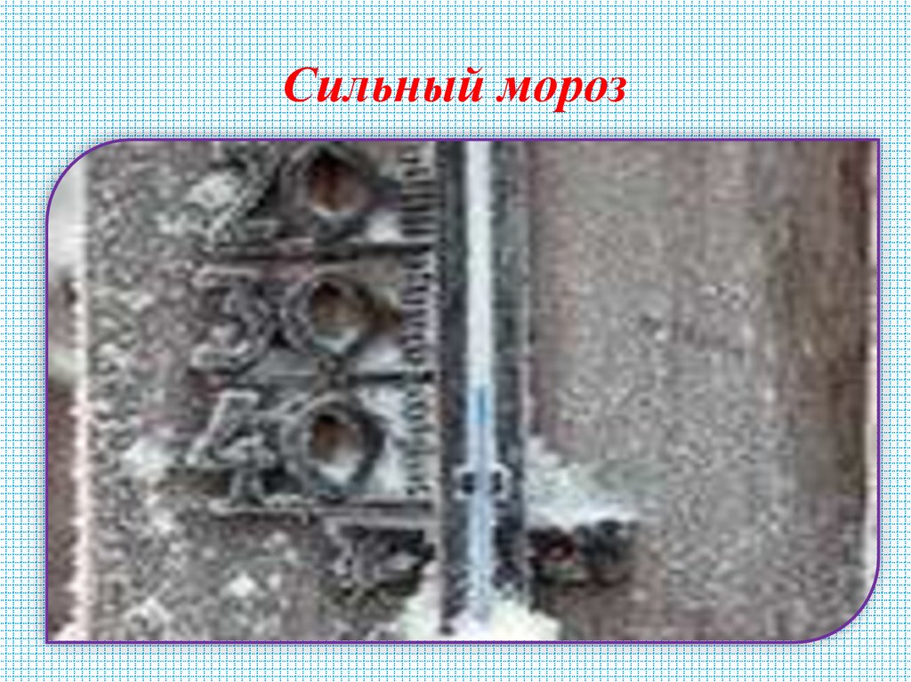 Сильный мороз