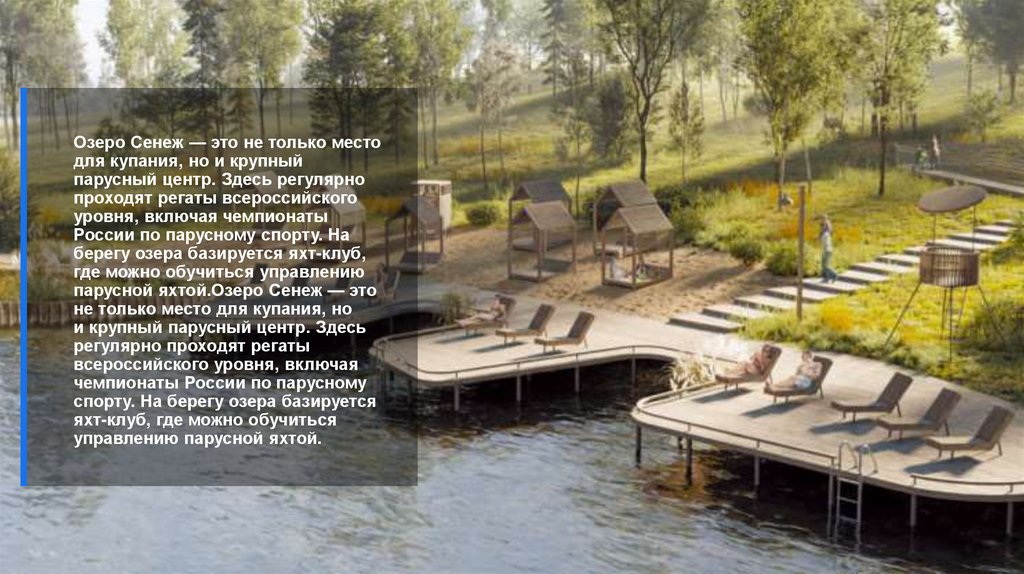 Озеро Сенеж — это не только место для купания, но и крупный парусный центр. Здесь регулярно проходят регаты всероссийского