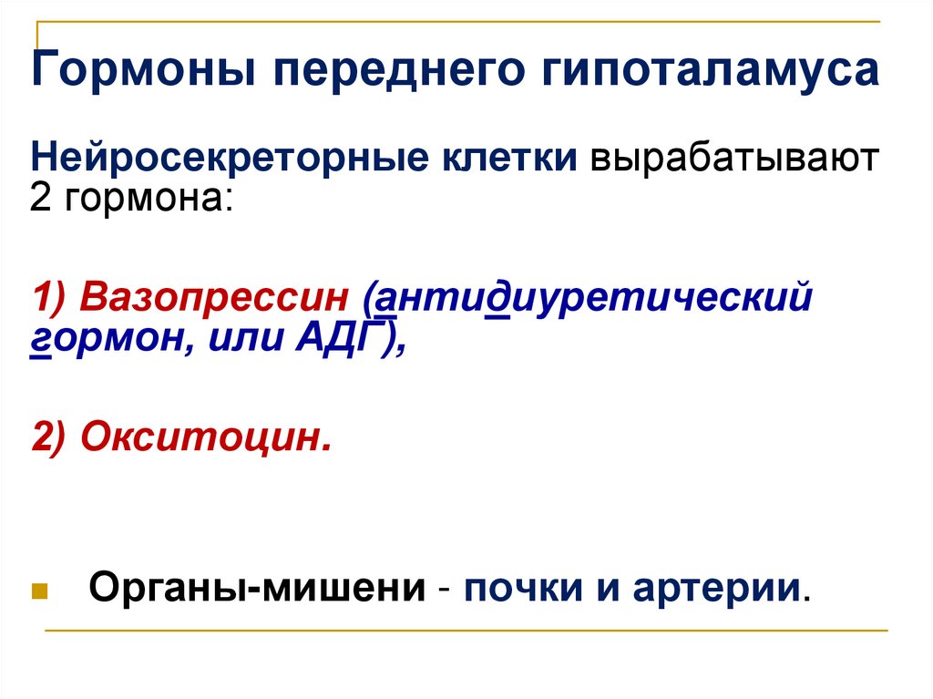 Гормоны переднего гипоталамуса