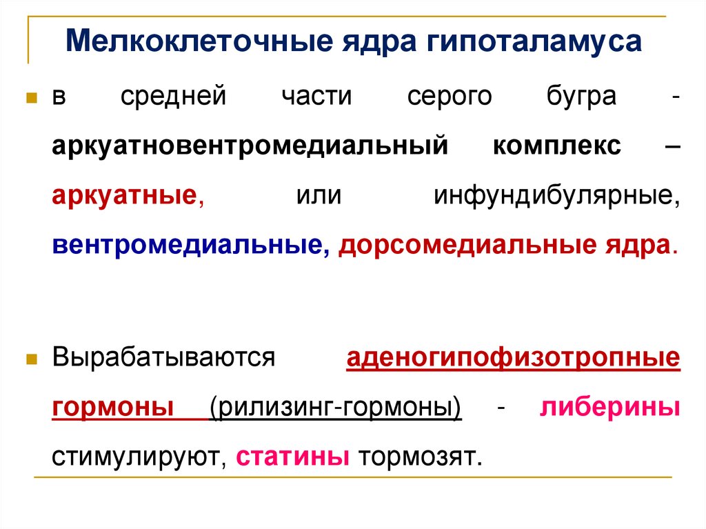 Мелкоклеточные ядра гипоталамуса