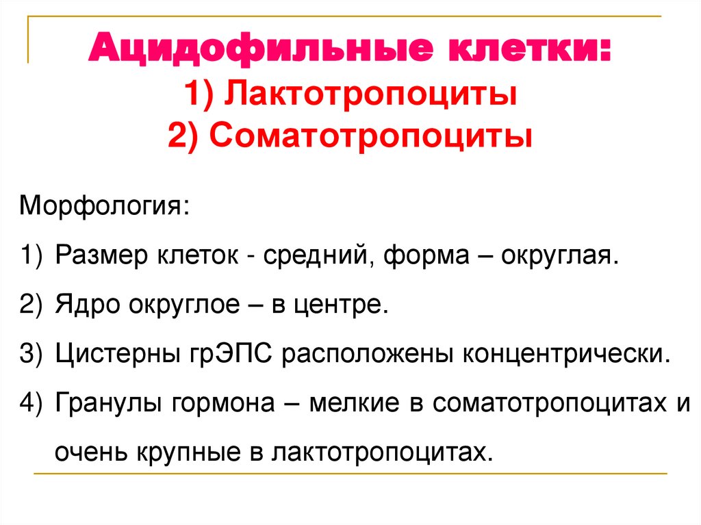Ацидофильные клетки: 1) Лактотропоциты 2) Соматотропоциты