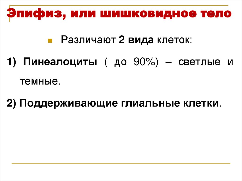 Эпифиз, или шишковидное тело