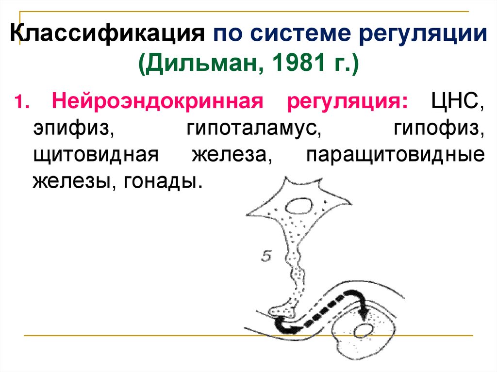 Классификация по системе регуляции (Дильман, 1981 г.)