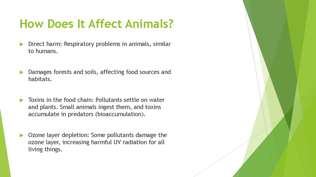 How Does It Affect Animals?