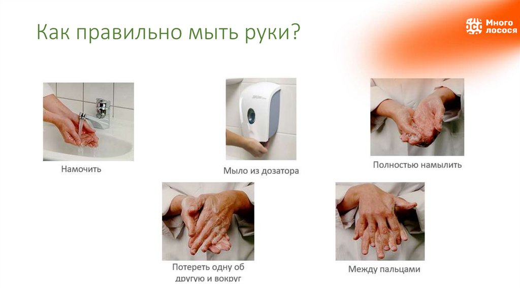 Как правильно мыть руки?