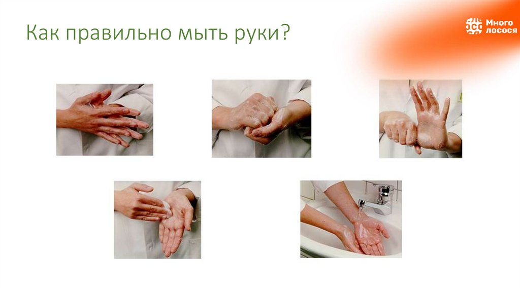 Как правильно мыть руки?