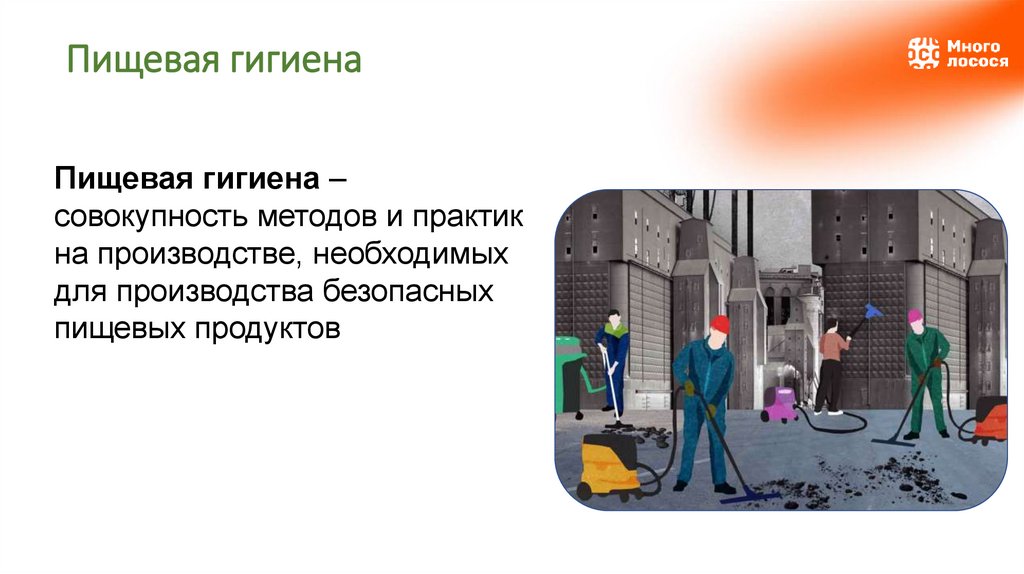 Пищевая гигиена