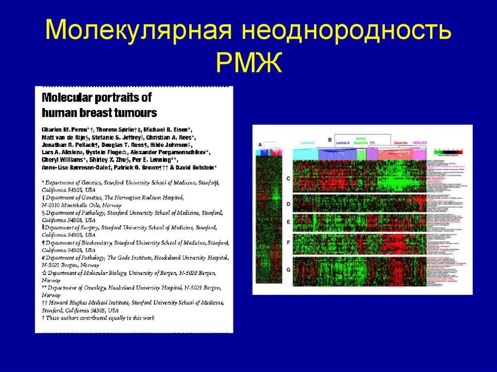 Молекулярная неоднородность РМЖ