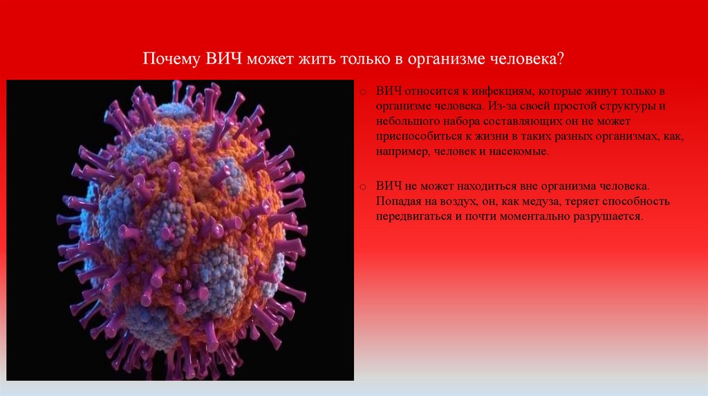 Почему ВИЧ может жить только в организме человека?