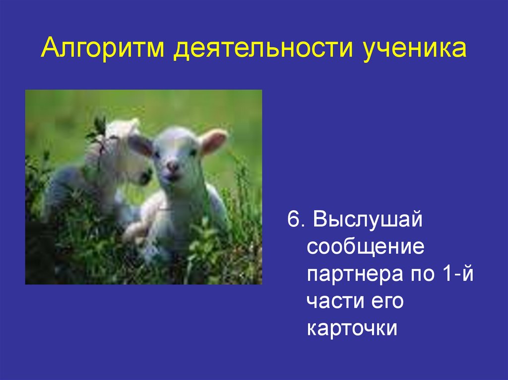 Алгоритм деятельности ученика