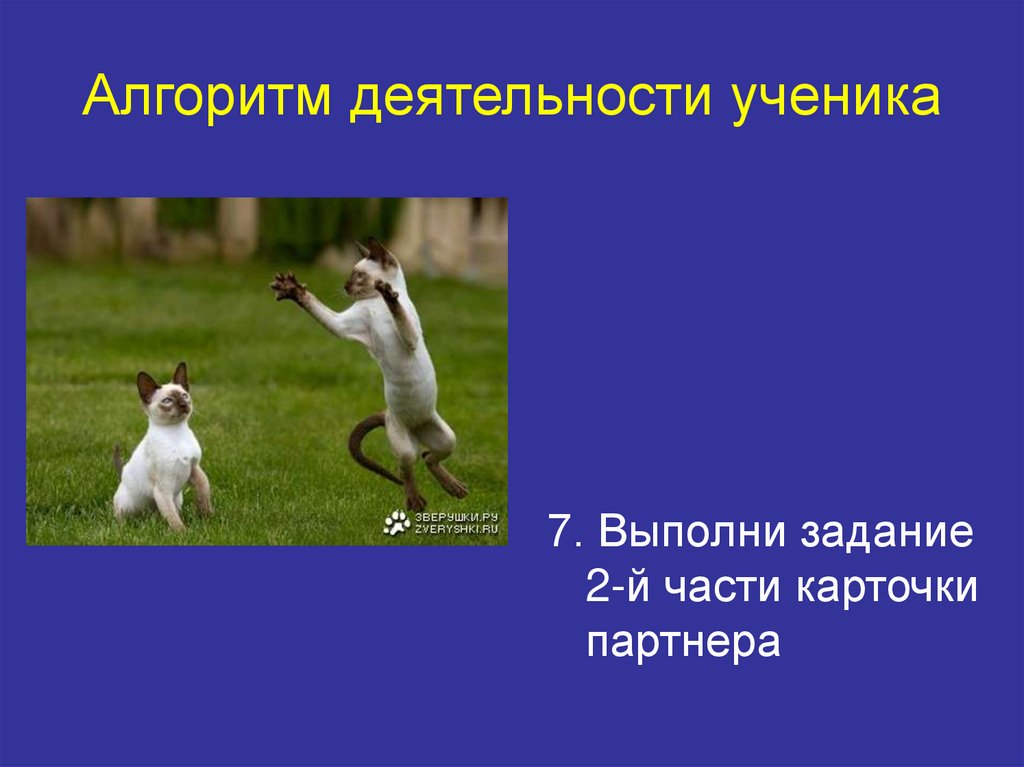 Алгоритм деятельности ученика