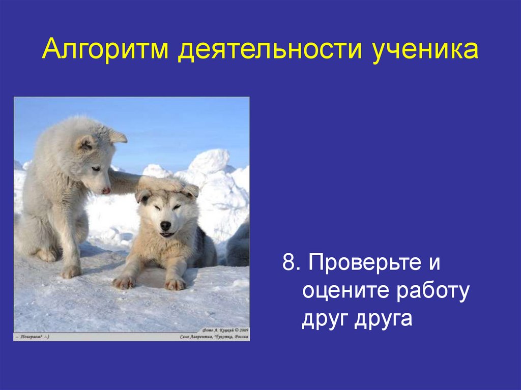 Алгоритм деятельности ученика