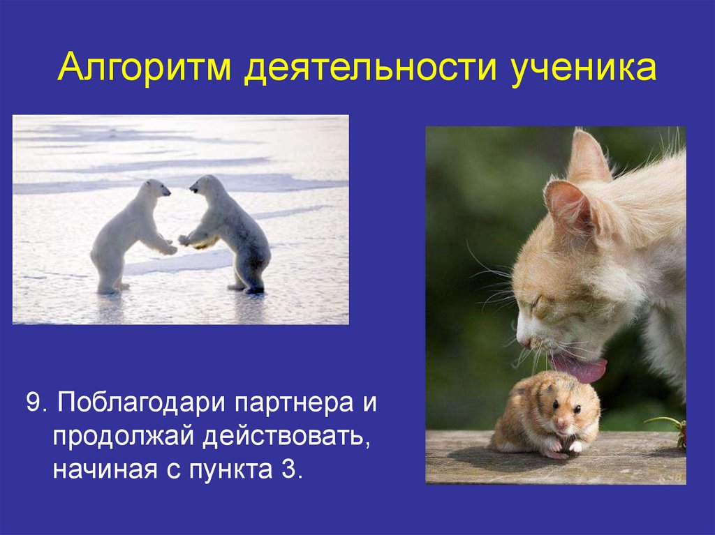 Алгоритм деятельности ученика