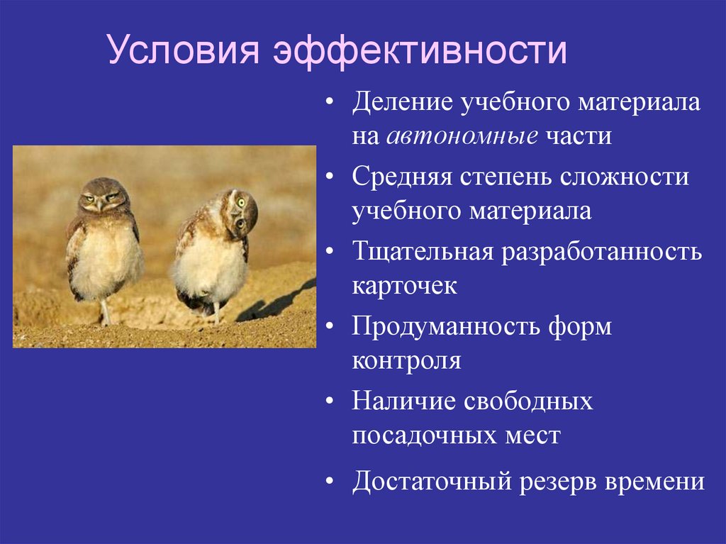 Условия эффективности