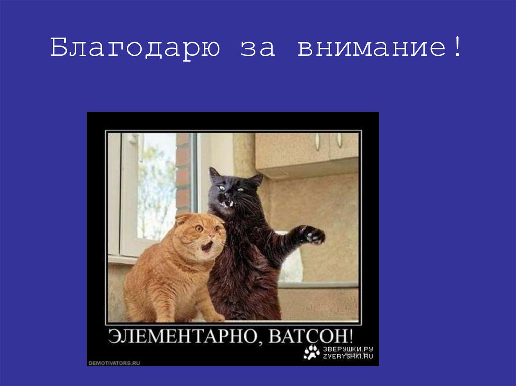 Благодарю за внимание!